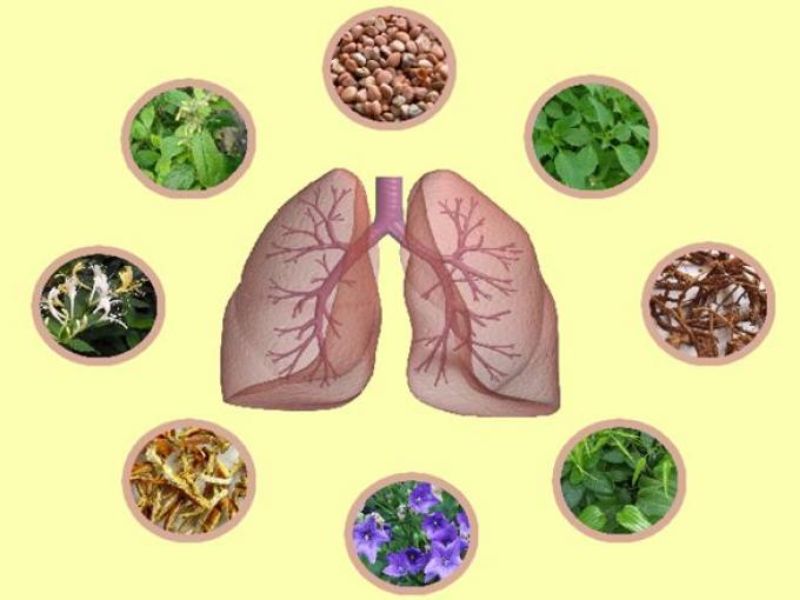 thực phẩm chức năng bổ phổi